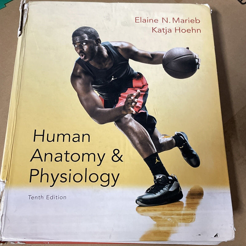 Human Anatomy & Physiology 10th [Marieb, Human Anatomy & Physiology] Standalone